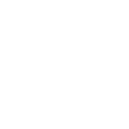 薔薇のアイコン