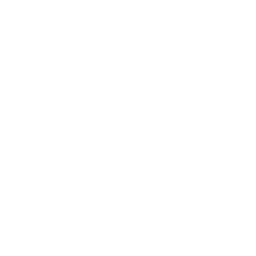 太陽のアイコン